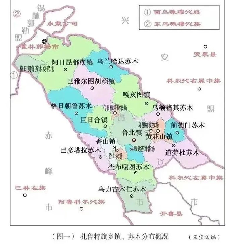 黄花他拉苏木